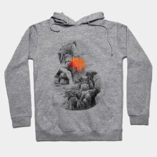 Sound of Nature II Hoodie